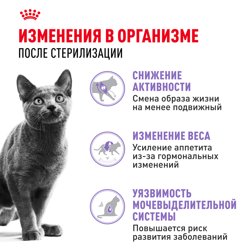 Royal Canin Sterilised 37 Regular Сухой корм для стерилизованных кошек с 1 до 7 лет, 200 гр. 3