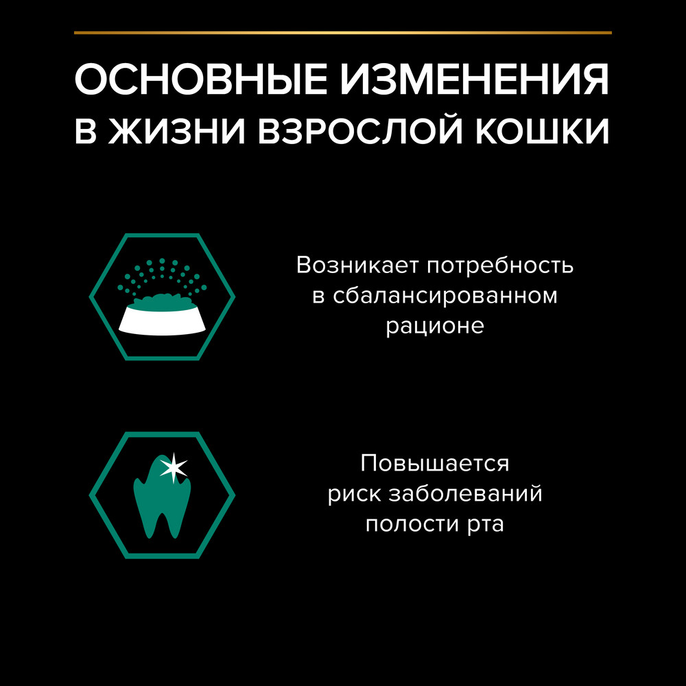 PRO PLAN MAINTENANCE Влажный корм (пауч) для взрослых кошек, с говядиной в соусе, 85 г 2