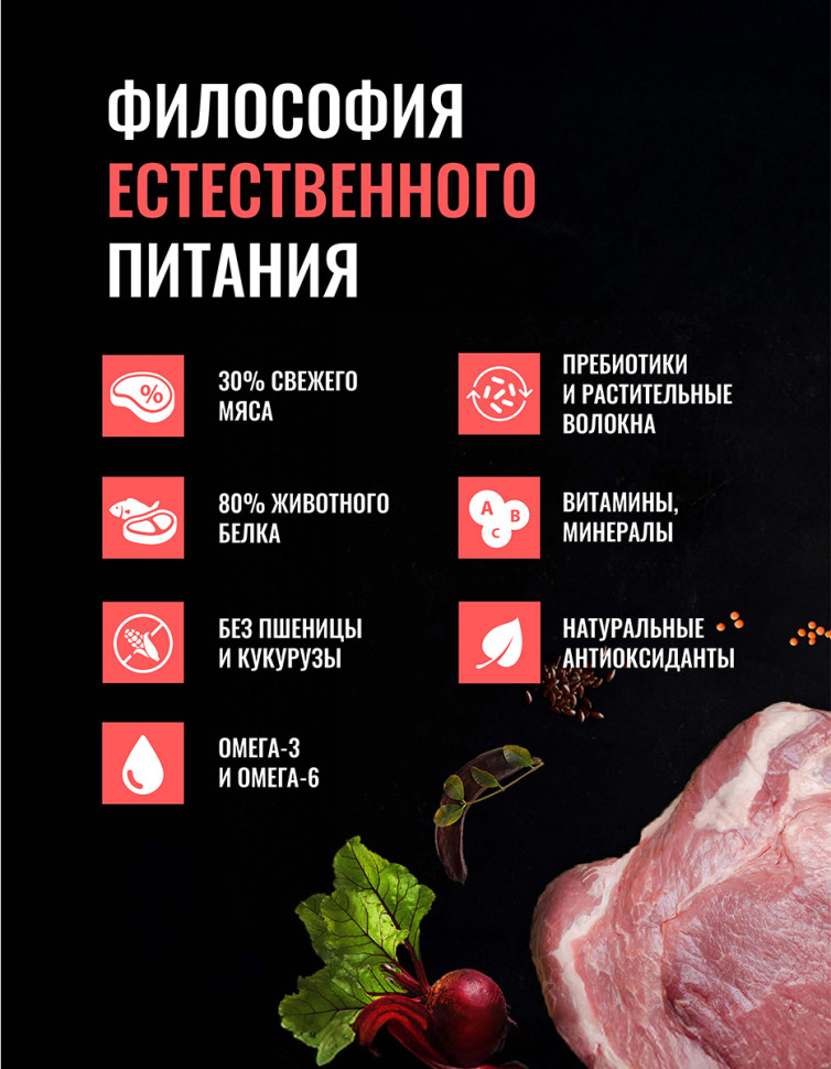Одно Мясо Монопротеин сухой корм для взрослых собак всех пород со свининой - 800 г 3
