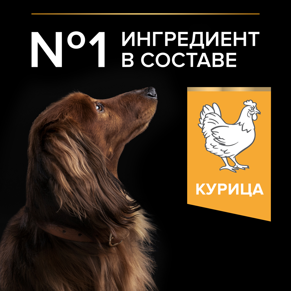 PRO PLAN® Everyday Nutrition Сухой корм для взрослых собак мелких и карликовых пород, с курицей, 7 кг 5